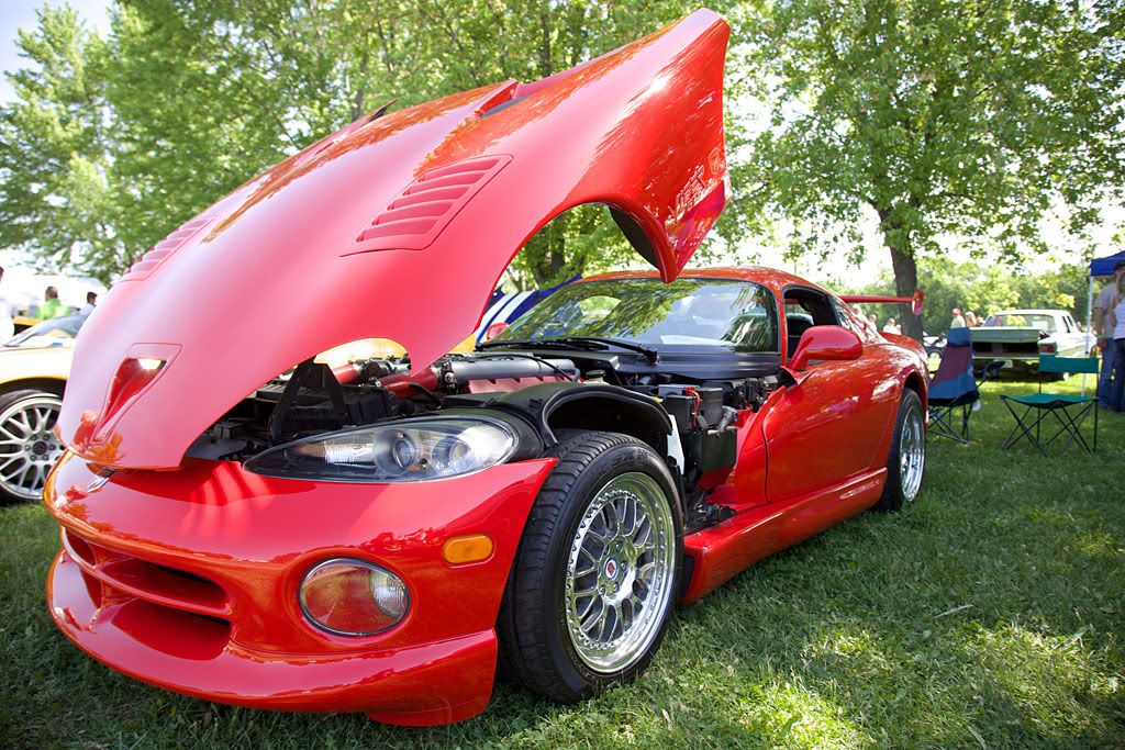 IMAGE: http://i69.photobucket.com/albums/i61/rsamos/Viper.jpg