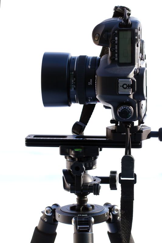 IMAGE: http://i69.photobucket.com/albums/i61/rsamos/pnet/IMG_0051.jpg