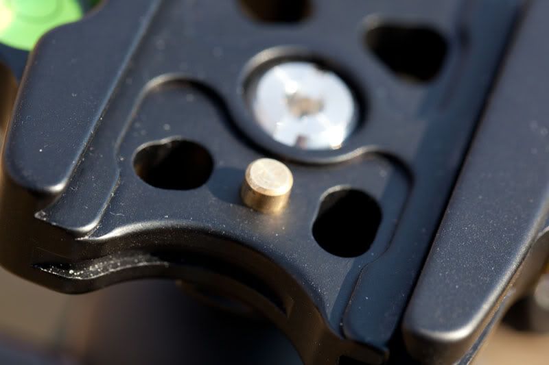 IMAGE: http://i69.photobucket.com/albums/i61/rsamos/pnet/IMG_5555.jpg