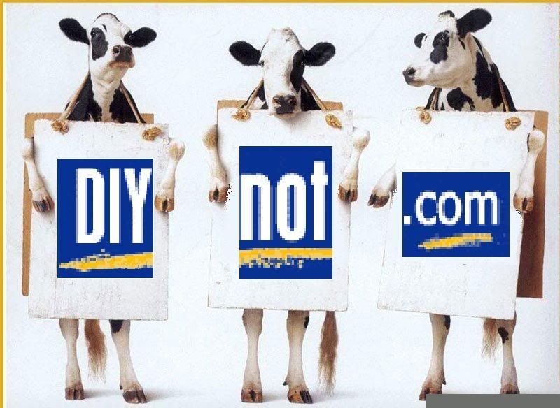 diynotcows.jpg