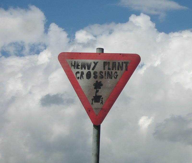 heavyplant.jpg
