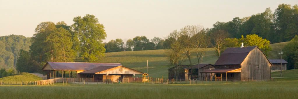 morning light on the farm Pictures, Images and Photos