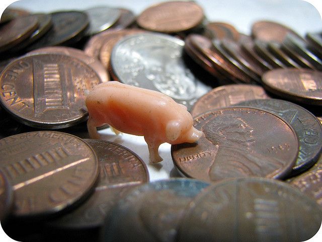 money and piggy homeschooling on a dime