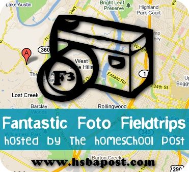 Homeschool Post : Fantastic Foto Field Trip Linkup Button