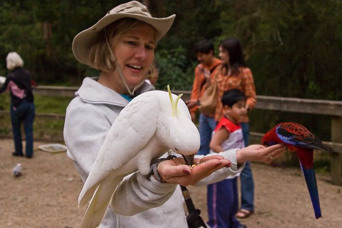 IMAGE: http://i69.photobucket.com/albums/i63/wiltonw/AfterLR2.jpg