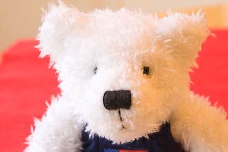 IMAGE: http://i69.photobucket.com/albums/i63/wiltonw/Ascorrected-1.jpg