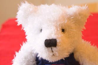 IMAGE: http://i69.photobucket.com/albums/i63/wiltonw/Ascorrected-2.jpg