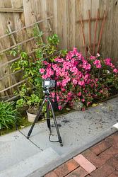 IMAGE: http://i69.photobucket.com/albums/i63/wiltonw/Equipment/Tripodflexibility-3.jpg