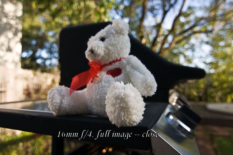 IMAGE: http://i69.photobucket.com/albums/i63/wiltonw/IMG_1712-2.jpg