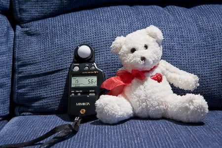 IMAGE: http://i69.photobucket.com/albums/i63/wiltonw/IMG_2548.jpg