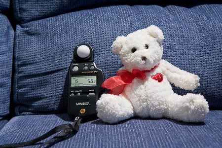 IMAGE: http://i69.photobucket.com/albums/i63/wiltonw/IMG_2550.jpg