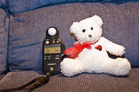 IMAGE: http://i69.photobucket.com/albums/i63/wiltonw/IMG_2552.jpg