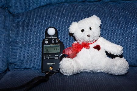 IMAGE: http://i69.photobucket.com/albums/i63/wiltonw/IMG_2553.jpg