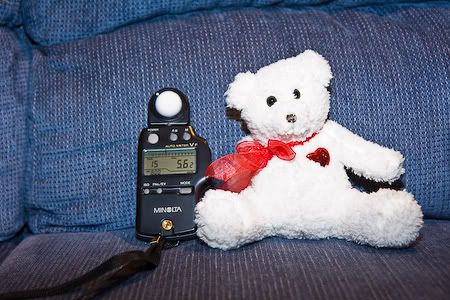 IMAGE: http://i69.photobucket.com/albums/i63/wiltonw/IMG_2555.jpg