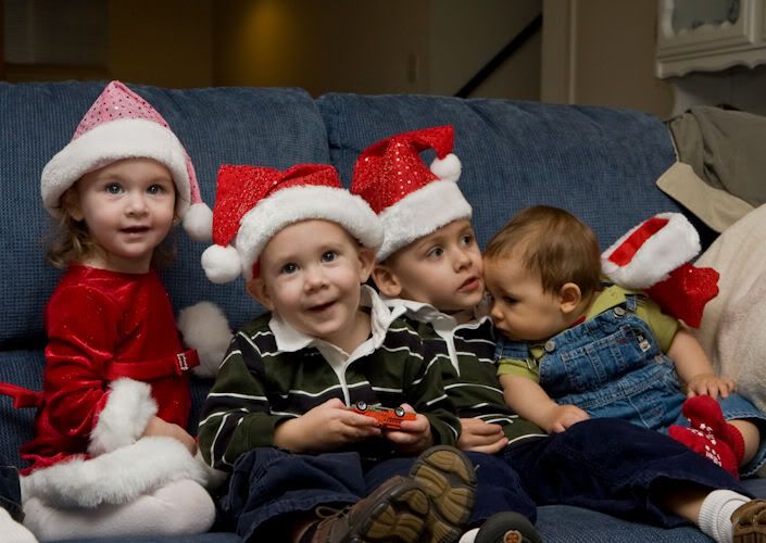 IMAGE: http://i69.photobucket.com/albums/i63/wiltonw/IMG_3642.jpg