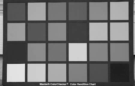 IMAGE: http://i69.photobucket.com/albums/i63/wiltonw/IMG_5310greyscale.jpg