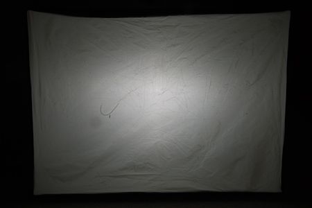 IMAGE: http://i69.photobucket.com/albums/i63/wiltonw/IMG_7607.jpg