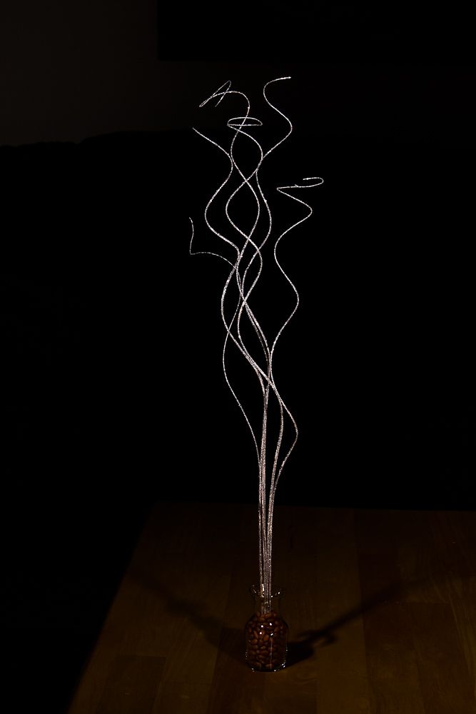 IMAGE: http://i69.photobucket.com/albums/i63/wiltonw/POTN%202013%20Post%20Mar1/IMG_8026_zps8afa7972.jpg