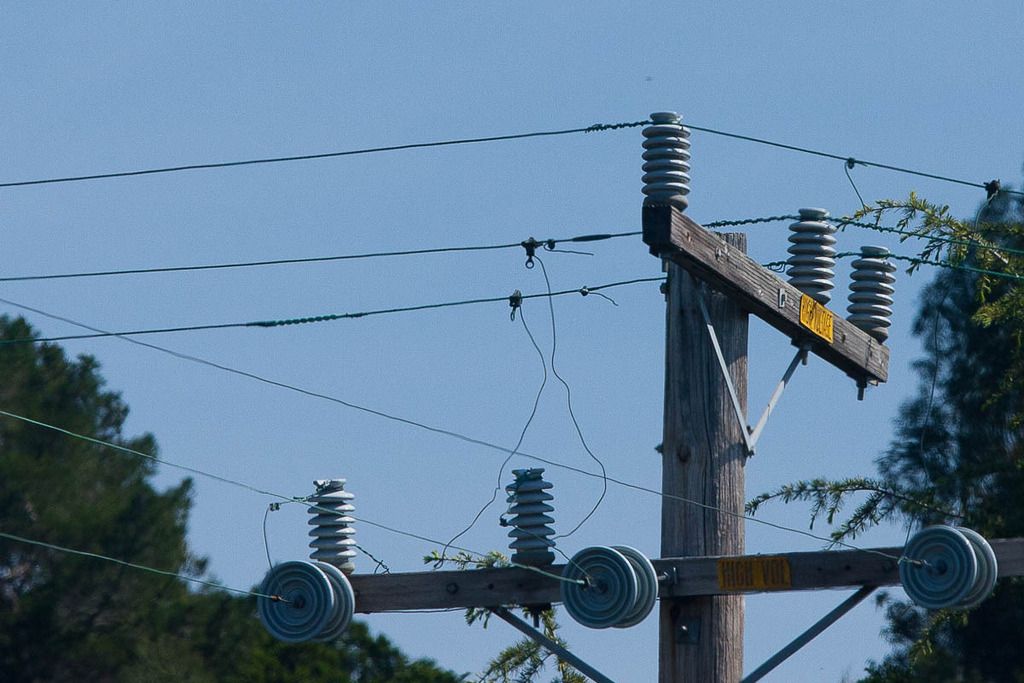 IMAGE: http://i69.photobucket.com/albums/i63/wiltonw/POTN%202013%20Post%20Mar1/IMG_9956_zpsbjrqrhlr.jpg