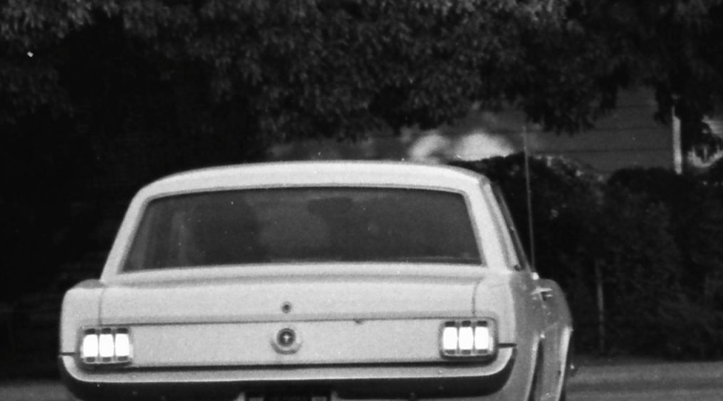 IMAGE: http://i69.photobucket.com/albums/i63/wiltonw/POTN%202013%20Post%20Mar1/TriX%20neg_0001b_zpsu91n3mnq.jpg