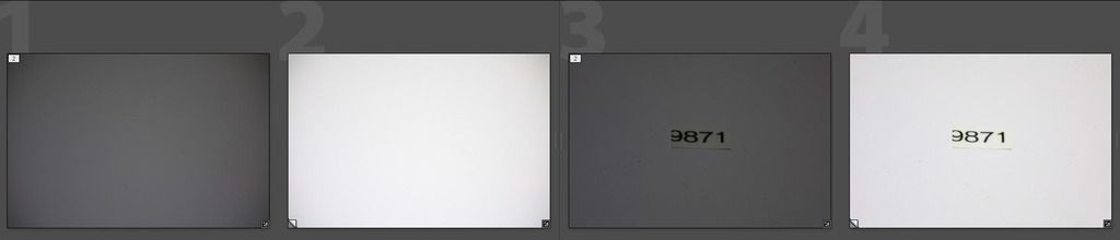 IMAGE: http://i69.photobucket.com/albums/i63/wiltonw/POTN%202013%20Post%20Mar1/macro%20uniformity_zpsnleichad.jpg