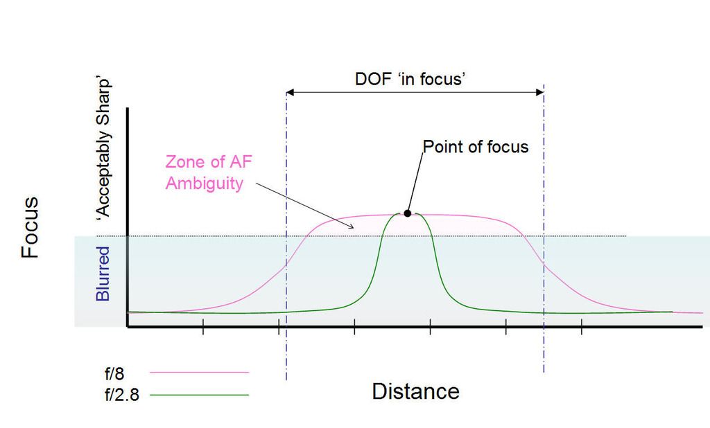 IMAGE: http://i69.photobucket.com/albums/i63/wiltonw/POTN%202013%20Post%20Mar1/stopped%20down%20AF_zpsh9vvwz63.jpg