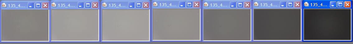 IMAGE: http://i69.photobucket.com/albums/i63/wiltonw/Principles/135_f28_40D.jpg