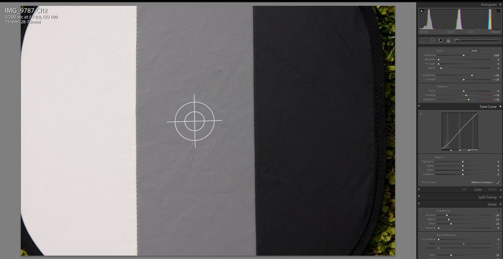 IMAGE: http://i69.photobucket.com/albums/i63/wiltonw/Principles/As%20metered_zpsba3jvdz9.jpg