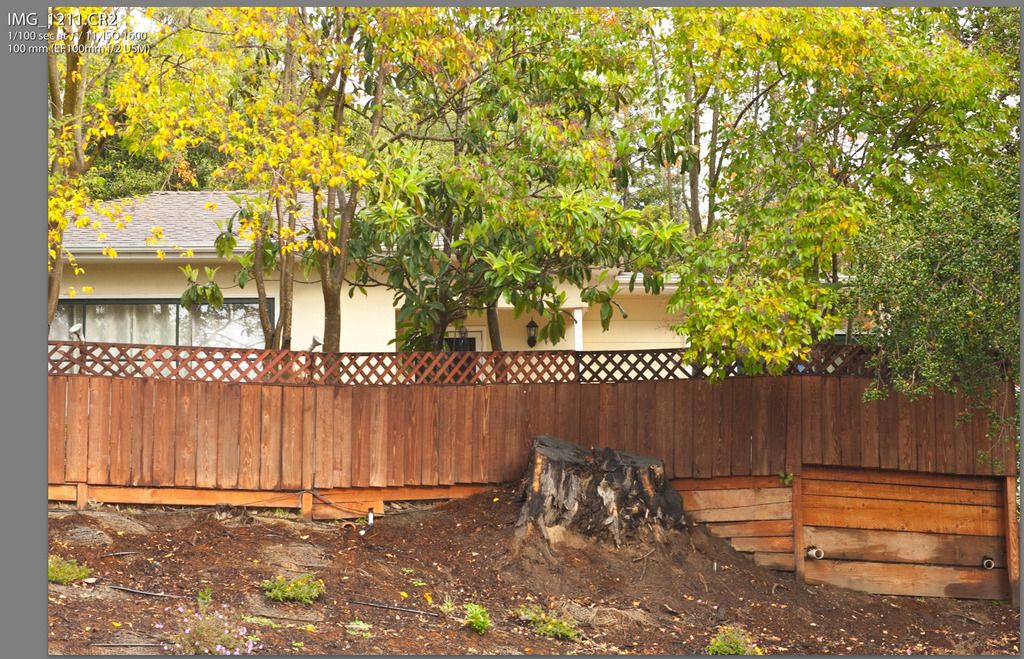 IMAGE: http://i69.photobucket.com/albums/i63/wiltonw/Principles/IMG_1211_zpsfjbkoeyf.jpg