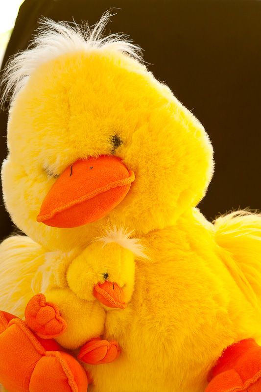 IMAGE: http://i69.photobucket.com/albums/i63/wiltonw/Principles/Soft%20filters-1_zpslwpf2d0j.jpg