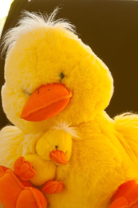 IMAGE: http://i69.photobucket.com/albums/i63/wiltonw/Principles/Soft%20filters-3_zpsl8m2wibh.jpg