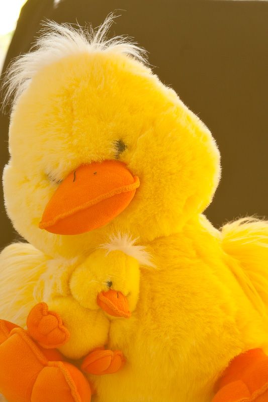 IMAGE: http://i69.photobucket.com/albums/i63/wiltonw/Principles/Soft%20filters-5_zpsxjoytu9a.jpg