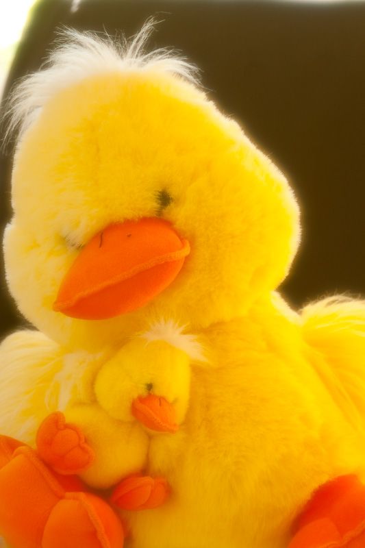 IMAGE: http://i69.photobucket.com/albums/i63/wiltonw/Principles/Soft%20filters-7_zpsau81bbe0.jpg