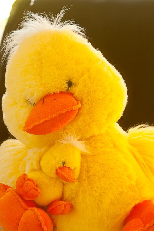 IMAGE: http://i69.photobucket.com/albums/i63/wiltonw/Principles/Soft%20filters-8_zpsojd5ll7a.jpg