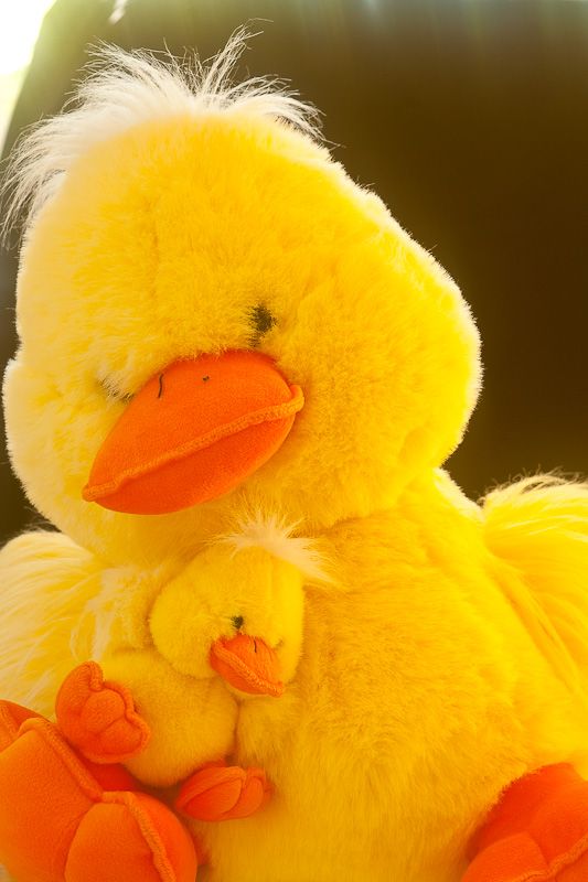 IMAGE: http://i69.photobucket.com/albums/i63/wiltonw/Principles/Soft%20filters-9_zpsvxdb2woq.jpg