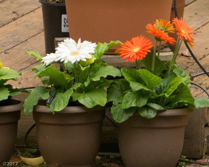 IMAGE: http://i69.photobucket.com/albums/i63/wiltonw/Principles/exposure-1_zpsqdskd76r.jpg