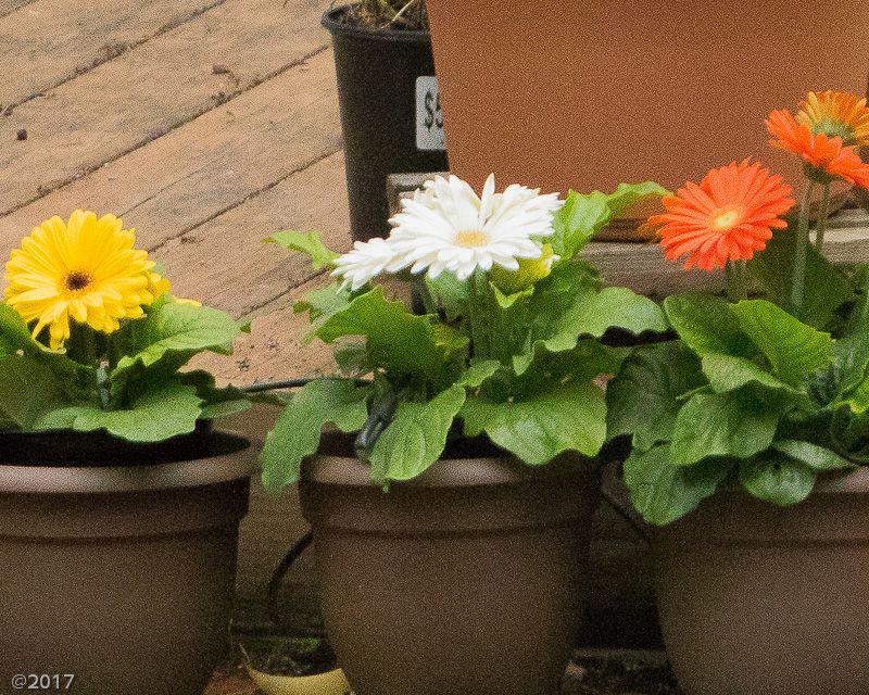 IMAGE: http://i69.photobucket.com/albums/i63/wiltonw/Principles/exposure-2_zpsdgfzfi3g.jpg