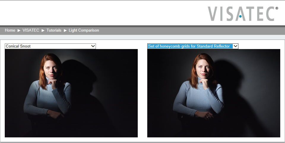 IMAGE: http://i69.photobucket.com/albums/i63/wiltonw/Principles/snootgrid_zps4b52a90c.jpg