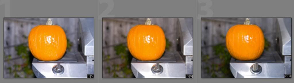 IMAGE: http://i69.photobucket.com/albums/i63/wiltonw/barestofenfeta2_zps1b24ded0.jpg