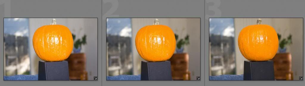 IMAGE: http://i69.photobucket.com/albums/i63/wiltonw/barestofenfeta_zpsa3918bff.jpg