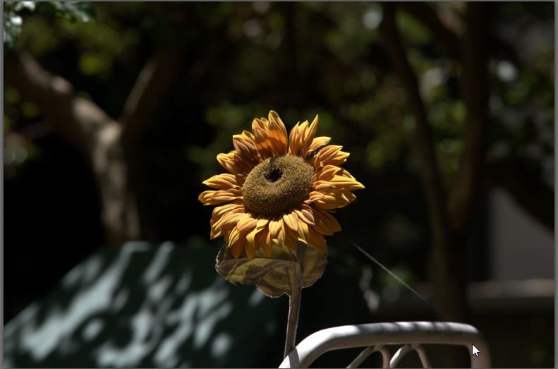 IMAGE: http://i69.photobucket.com/albums/i63/wiltonw/full_zps2rfetrbw.jpg