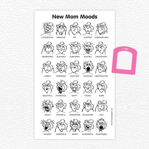 photo newmommoods_product2_zpsfae53973.jpg