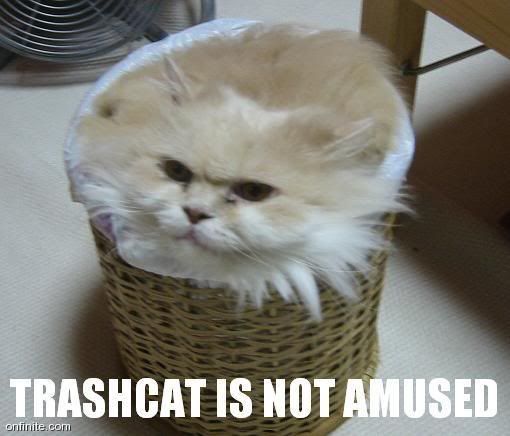 trashcat.jpg?t=1245358114