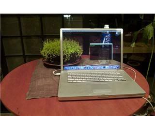 ����� ������ �������..