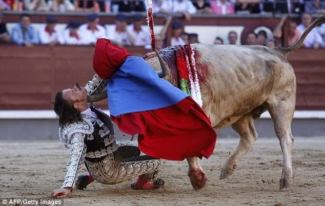 Bullfighter