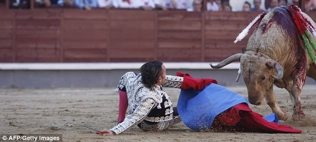 Bullfighter