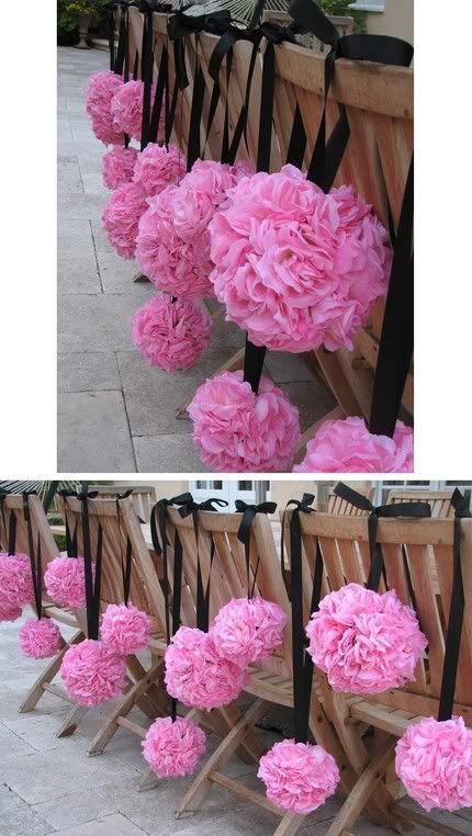 pink pomander balls Pictures Images and Photos