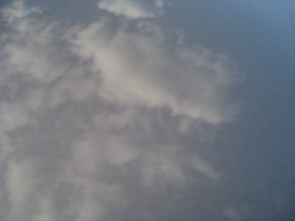 IMG_5355.jpg