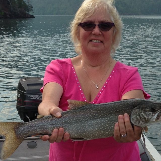 Lake Trout