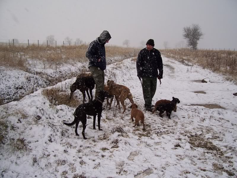 000_0261.jpg